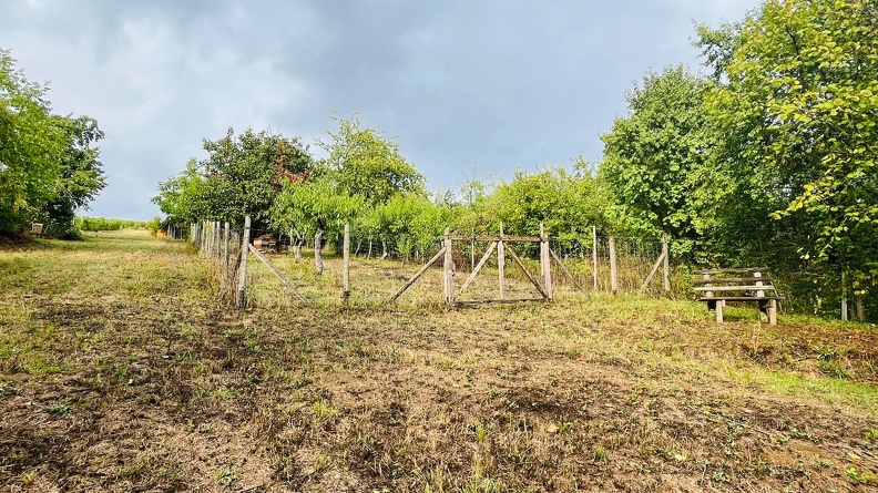 22-09-10 17-14-43 1955.jpeg